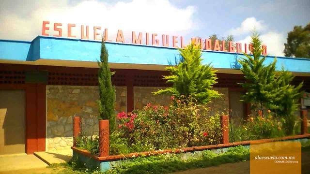 Entrada (vista previa)