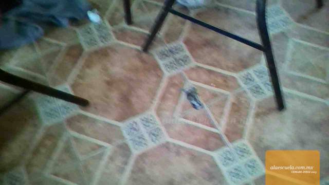 Aulas (vista previa)