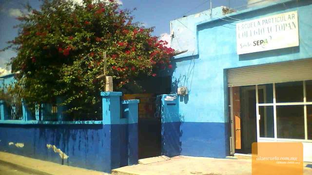 Entrada (vista previa)