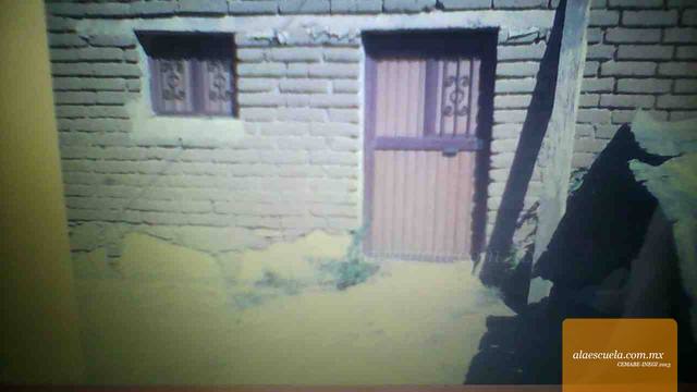 Entrada (vista previa)