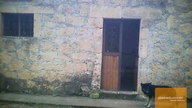 Entrada (vista previa)