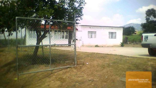 Entrada (vista previa)