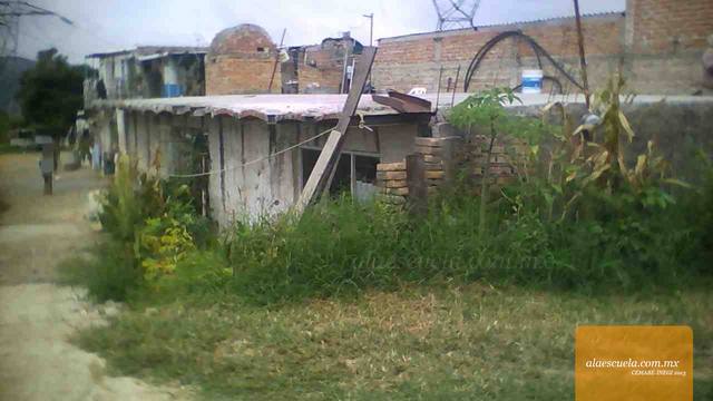 Entrada (vista previa)