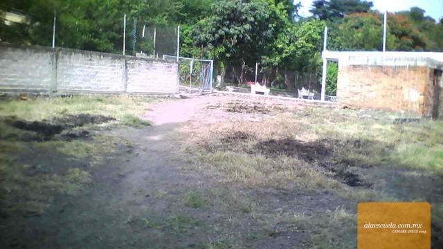 Entrada (vista previa)