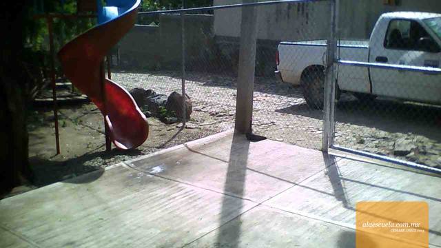 Entrada (vista previa)