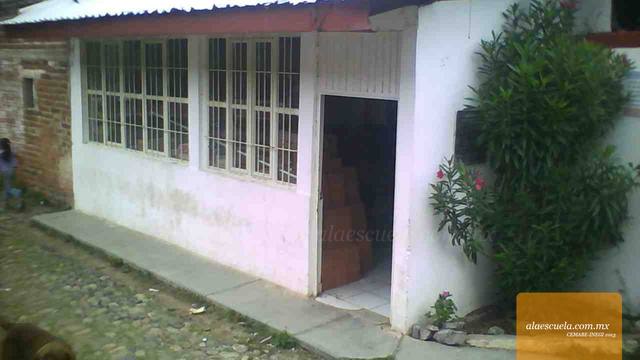 Entrada (vista previa)