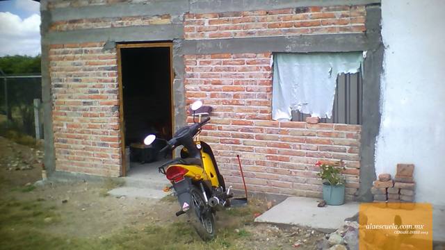 Entrada (vista previa)