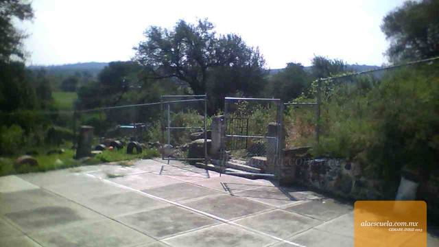 Entrada (vista previa)