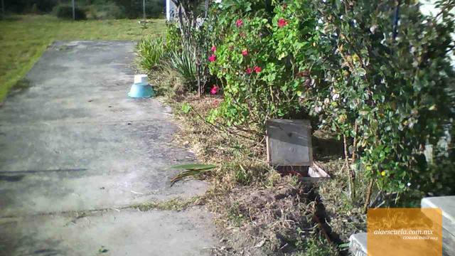 Áreas (vista previa)