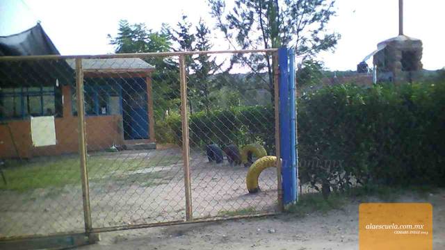 Entrada (vista previa)