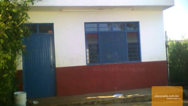 Entrada (vista previa)