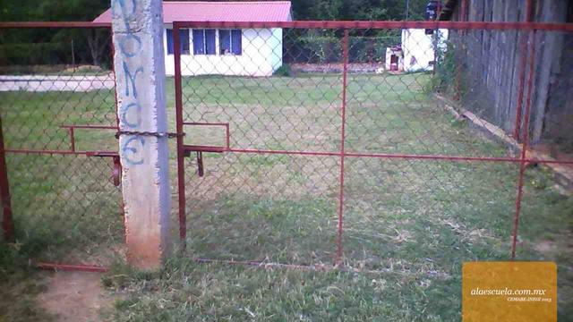 Entrada (vista previa)