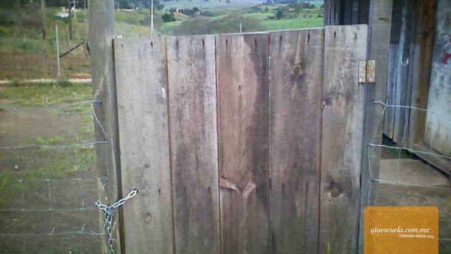 Entrada (vista previa)