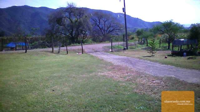 Entrada (vista previa)