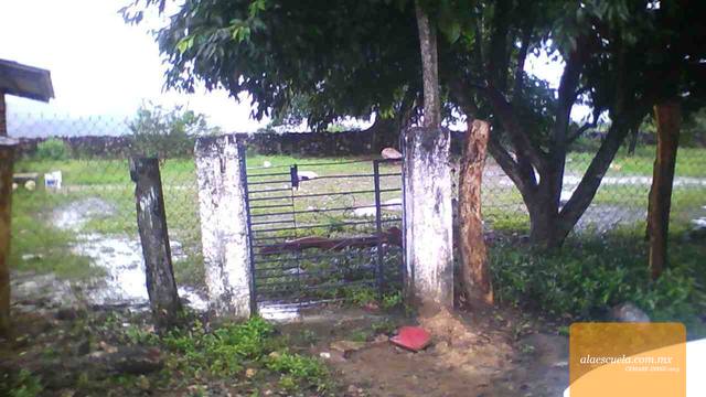 Entrada (vista previa)