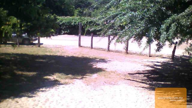 Entrada (vista previa)