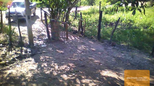 Entrada (vista previa)