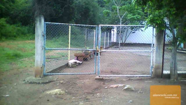 Entrada (vista previa)