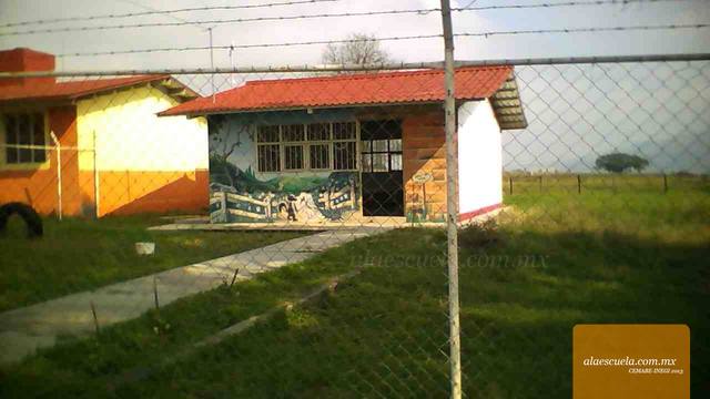 Entrada (vista previa)