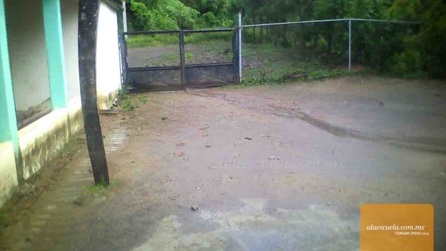 Entrada (vista previa)