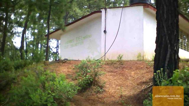 Entrada (vista previa)