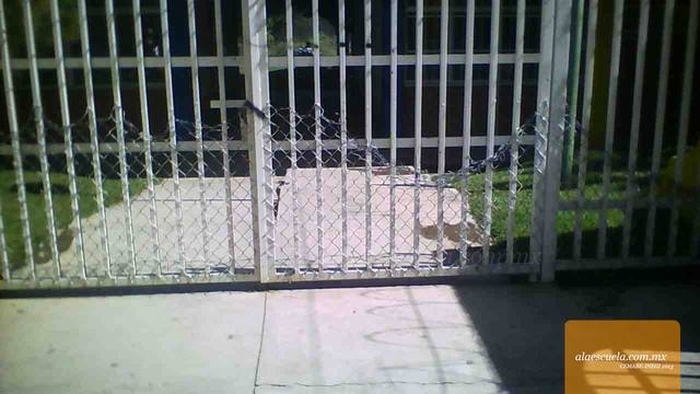 Entrada (vista previa)