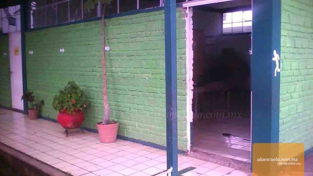 Entrada (vista previa)