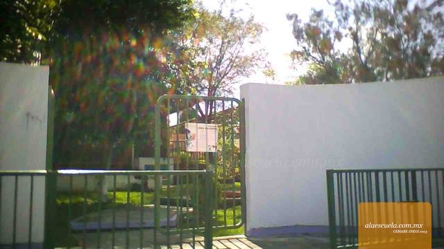 Entrada (vista previa)