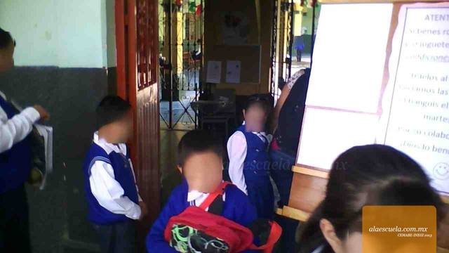 Entrada (vista previa)