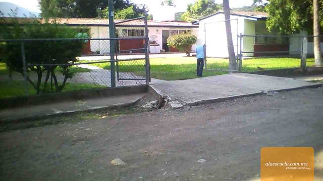 Entrada (vista previa)