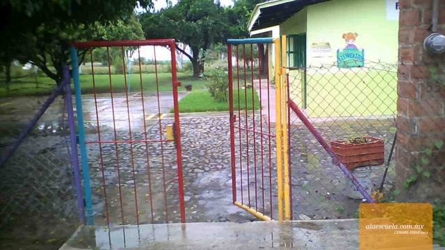 Entrada (vista previa)