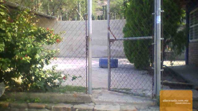 Entrada (vista previa)