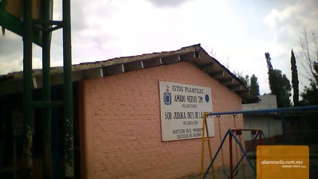 Entrada (vista previa)