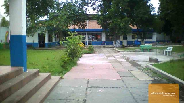 Entrada (vista previa)