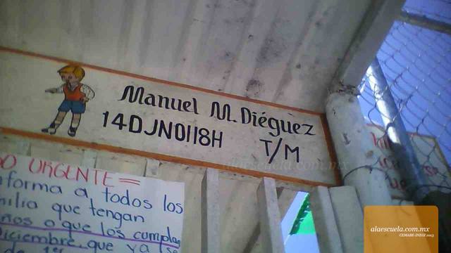 Entrada (vista previa)