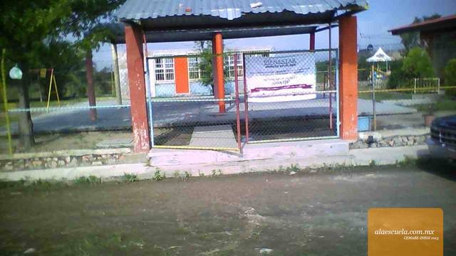 Entrada (vista previa)