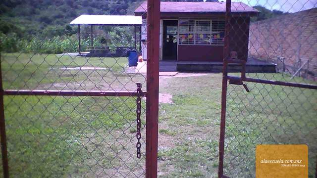 Entrada (vista previa)