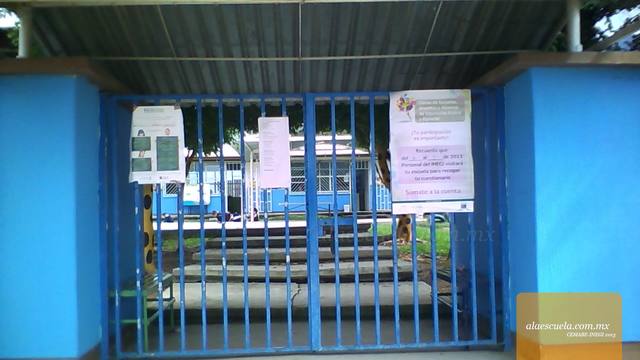 Entrada (vista previa)