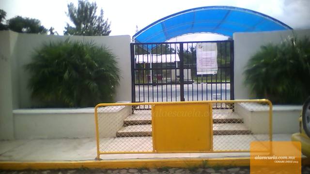 Entrada (vista previa)