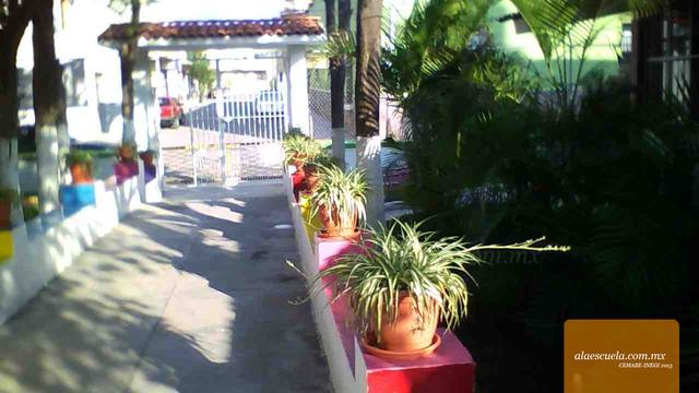 Entrada (vista previa)