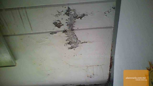 Aulas (vista previa)