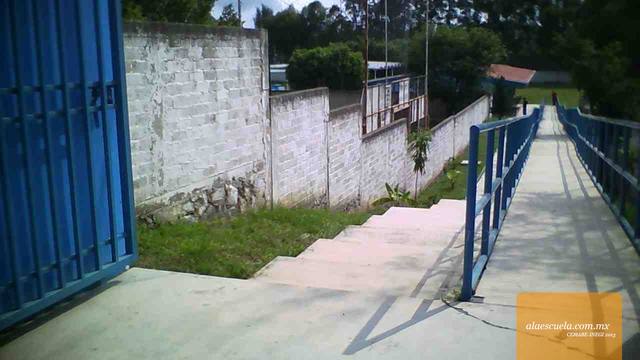 Entrada (vista previa)