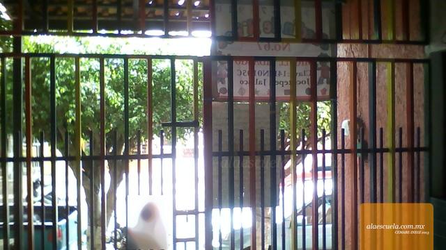 Entrada (vista previa)