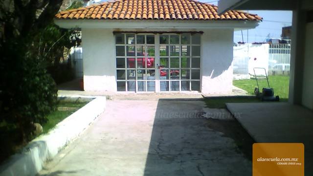 Entrada (vista previa)