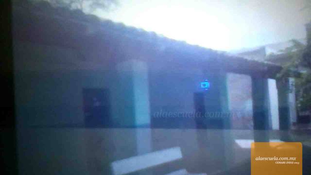 Entrada (vista previa)