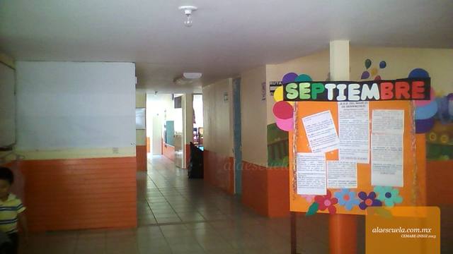 Áreas (vista previa)