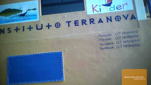 Entrada (vista previa)