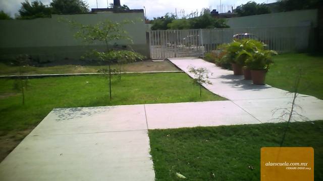 Entrada (vista previa)