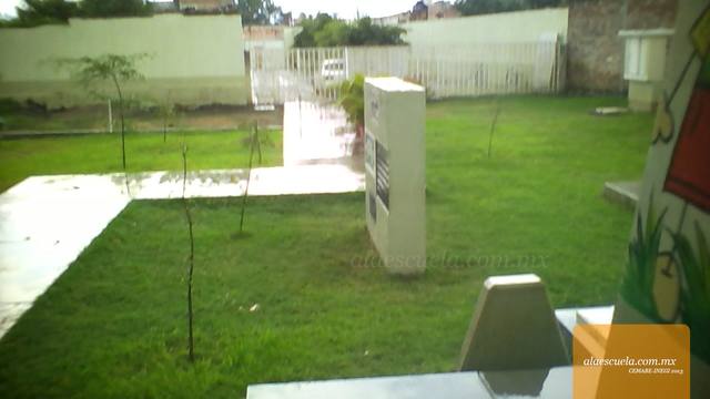 Entrada (vista previa)