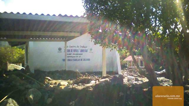 Entrada (vista previa)